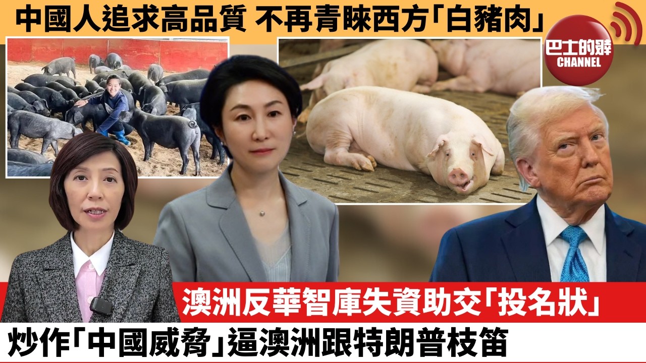 (附字幕) 李彤「外交短評」中國人追求高品質，不再青睞西方｢白豬肉｣。澳洲反華智庫失資助交｢投名狀｣，炒作｢中國威脅｣，逼澳洲跟特朗普枝笛。  26年2月4日